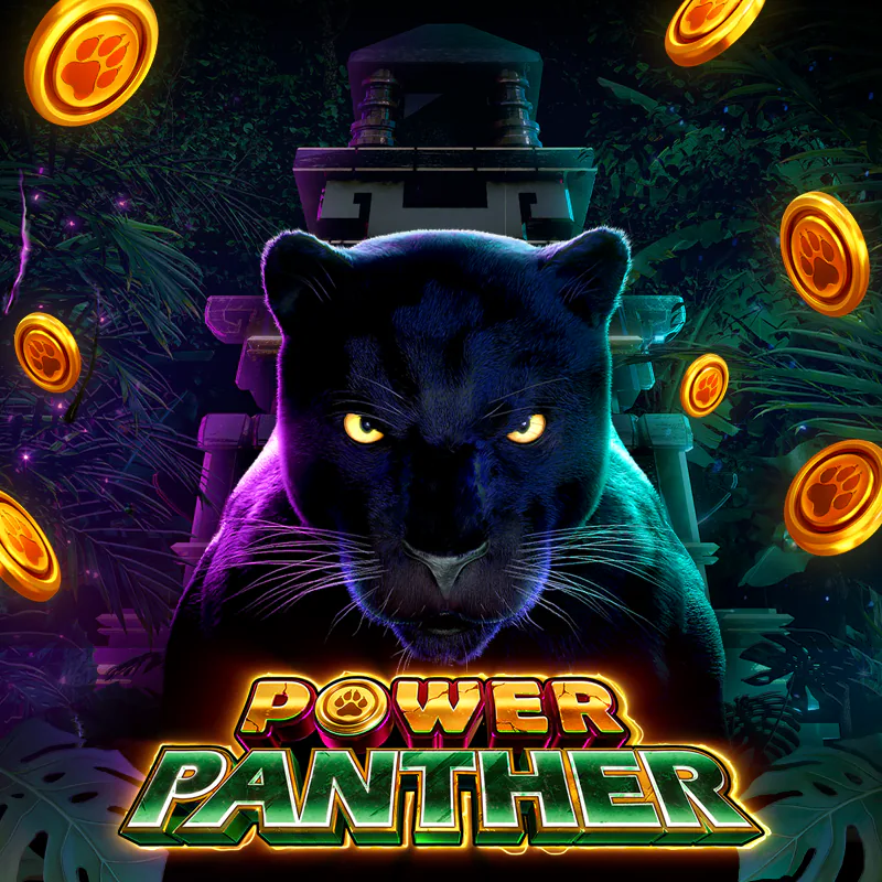 Power Panther game series artwork